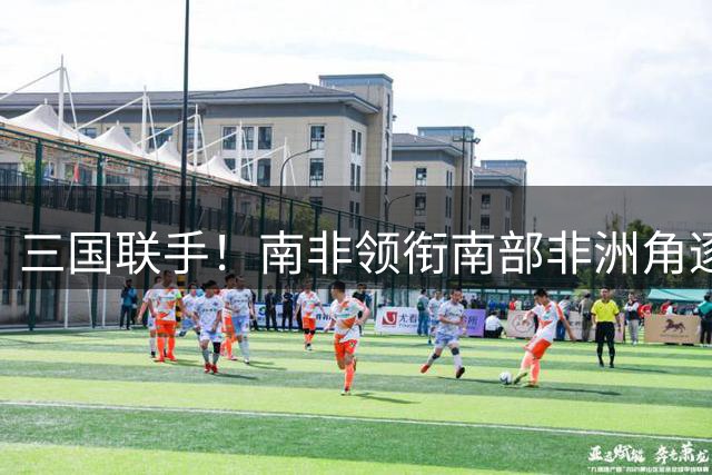 三国联手！南非领衔南部非洲角逐2028非洲杯主办权