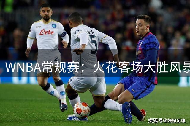WNBA常规赛：火花客场大胜风暴 布林克手感欠佳仍贡献11+6