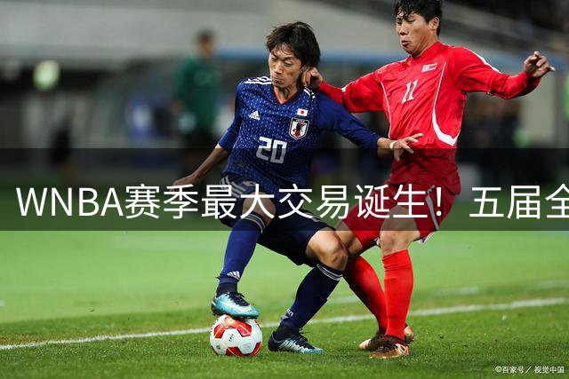 WNBA赛季最大交易诞生！五届全明星普拉姆改披水星战袍